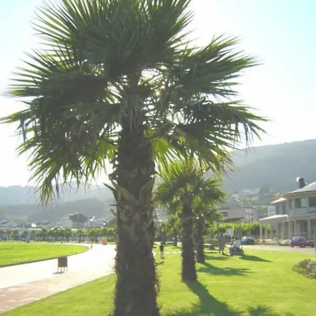 1ª Linea De Playa, Vistas Al Mar Y Muy Centrico. Carino