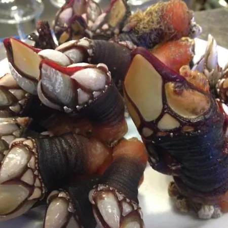 1ª Línea De Playa, Vistas Al Mar Y Muy Céntrico. Cariño